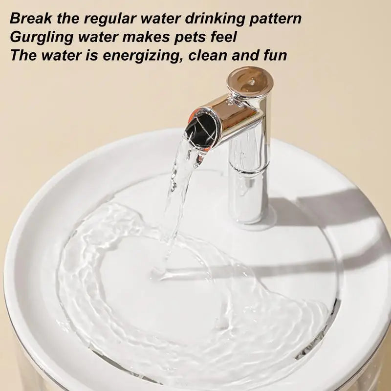 Pet Water Dispenser