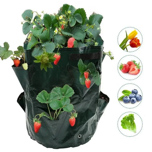 Strawberry Grow Bags