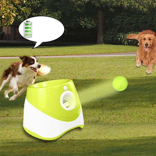 Dog Automatic Tennis Launcher