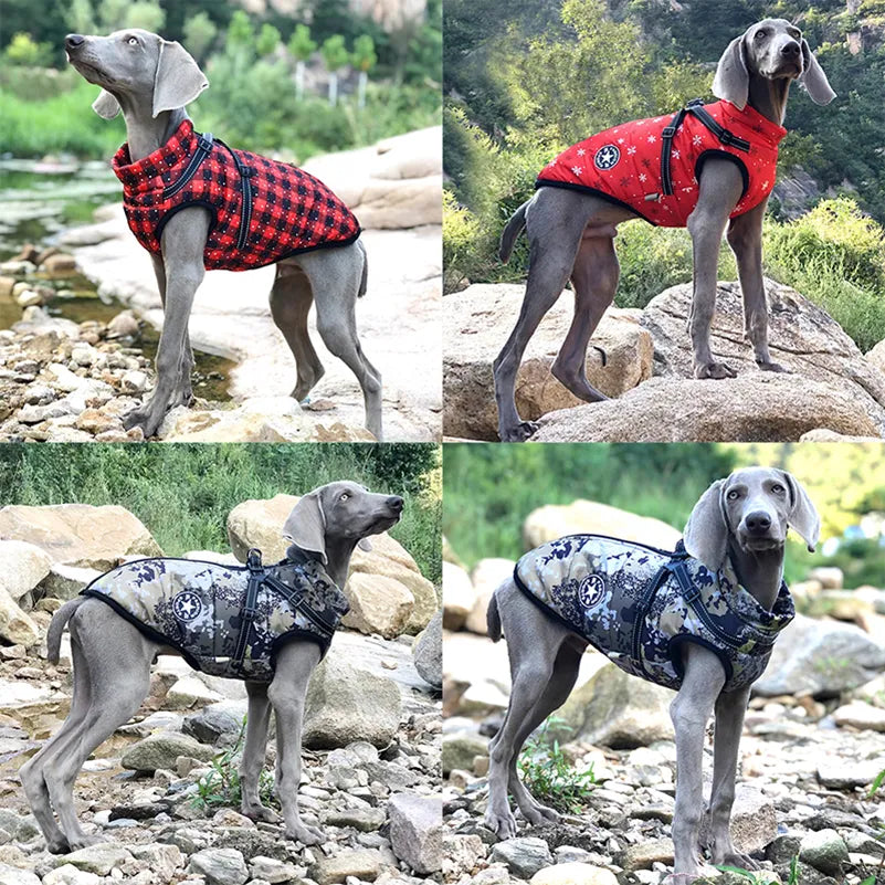 Waterproof Dog Coat With Harness