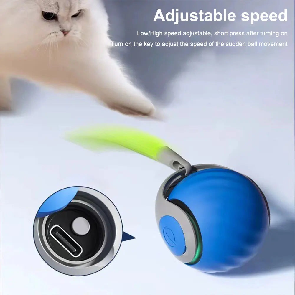 Smart Electronic Interactive Toy
