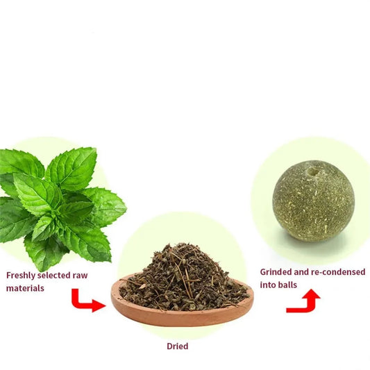 Catnip Wall Ball Cat Toys