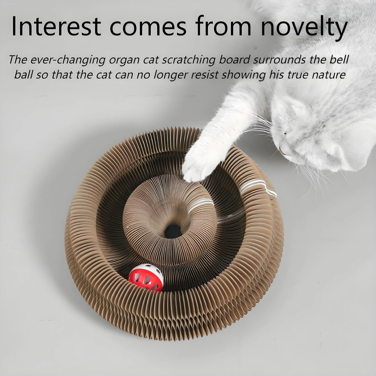 Cat Scratching Board with Bell Toy