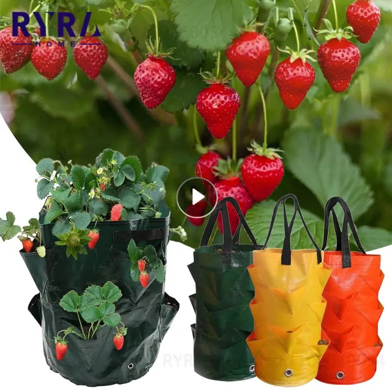 Strawberry Grow Bags