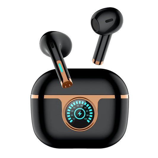 Voice Offline Translation Earbuds
