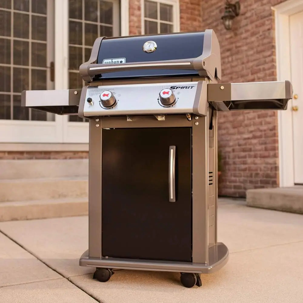 E-210 Gas Grill | Liquid Propane, 2-Burner