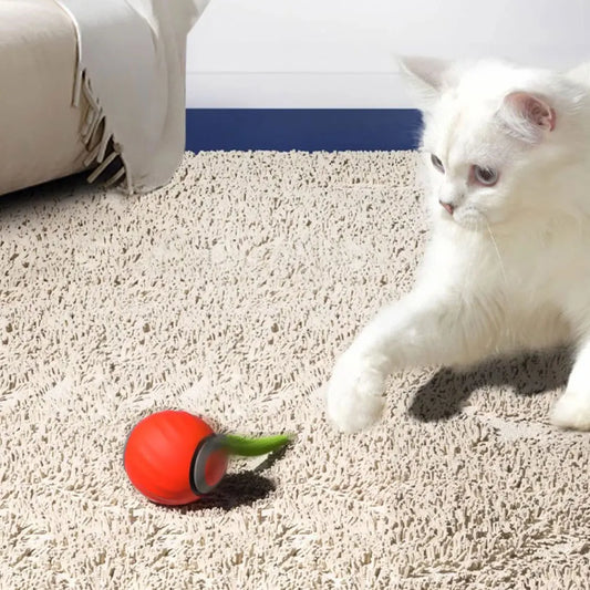 Automatic Moving Cat Toy Ball