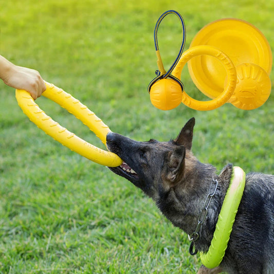 Pet Flying Discs Chew Ball Toy