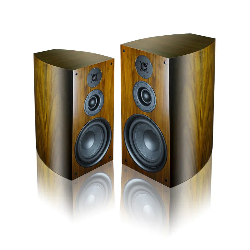 10 Inch 8Ohm High Low Bookshelf Speaker