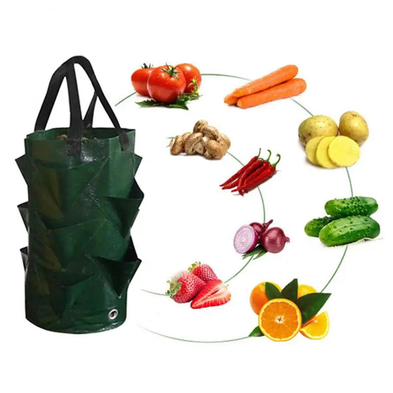 Strawberry Grow Bags