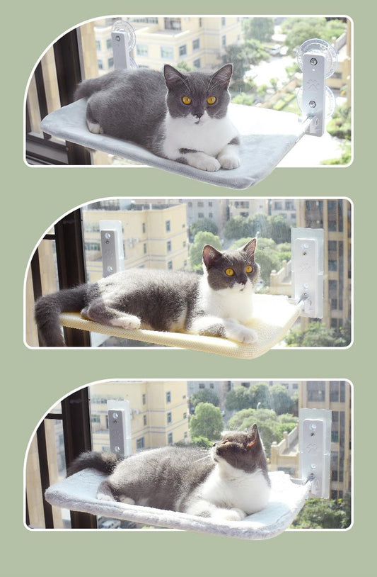 Cat Suction Cup Window Glass