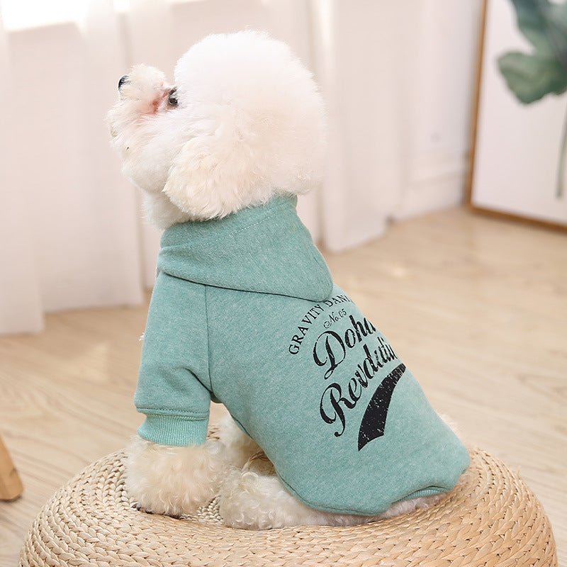 Attractive Clothes for Pets