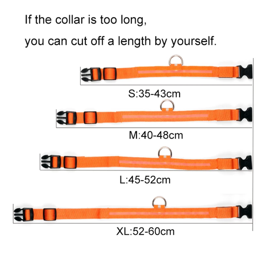 MLH Animals-bright LED dog collars, rechargeable, multiple colors and sizes