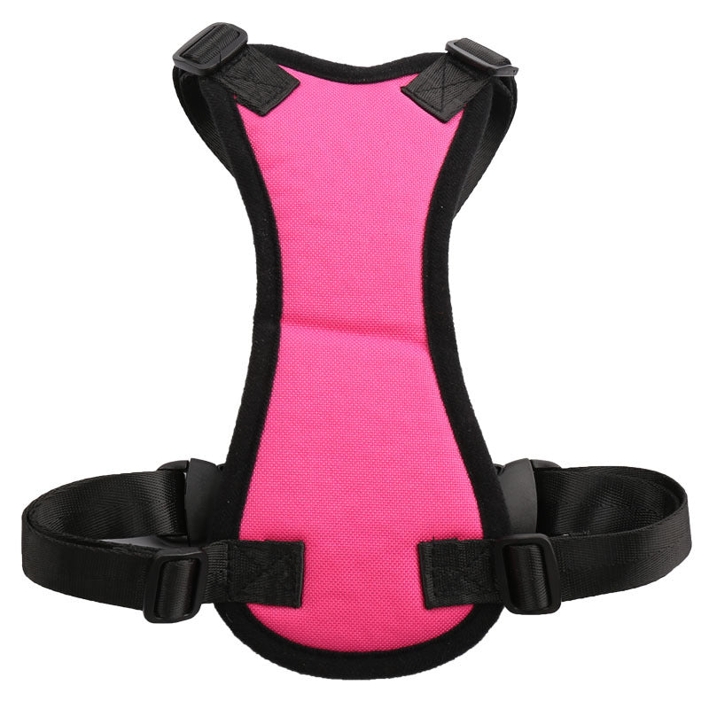 Car seat belts for pets