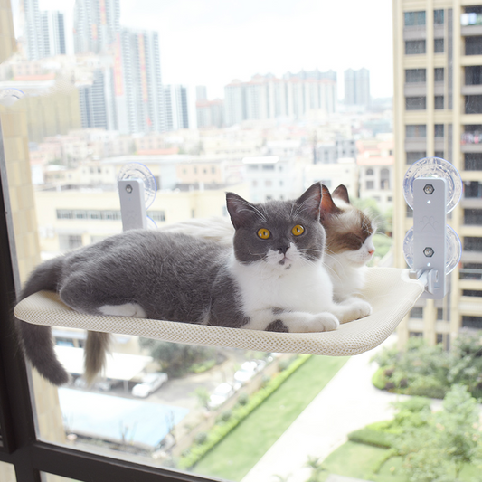 Cat Suction Cup Window Glass