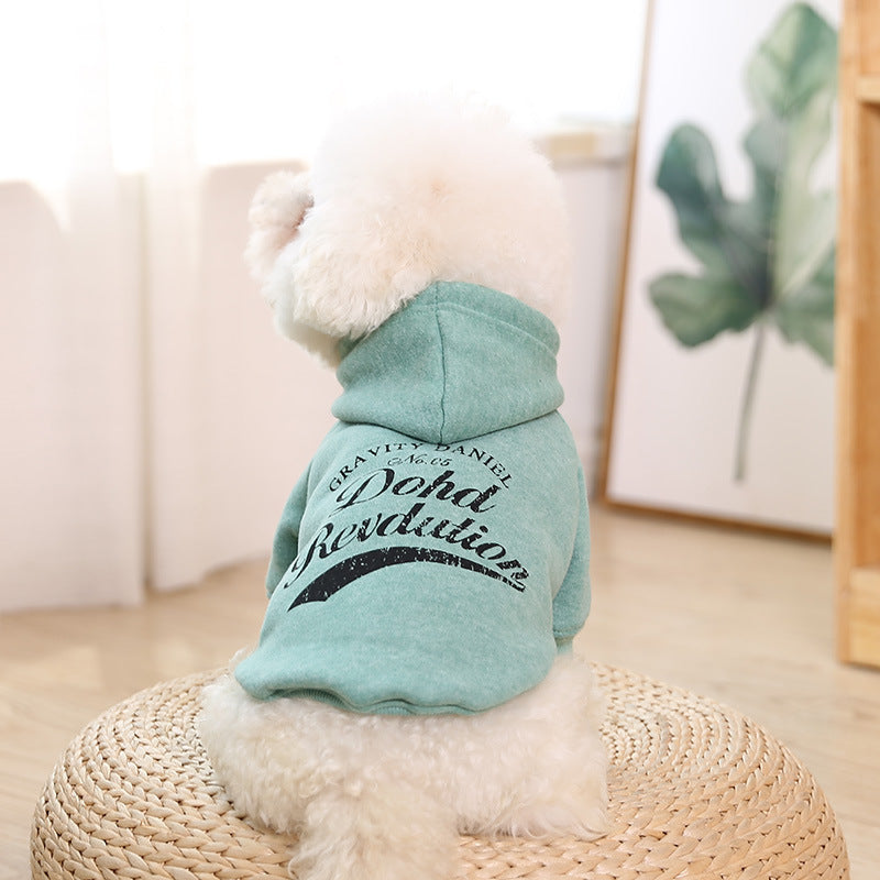 Attractive Clothes for Pets