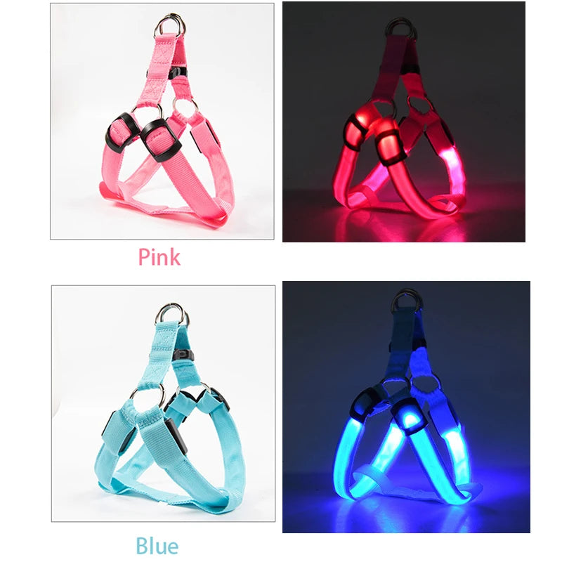 Luminous Dog Harness