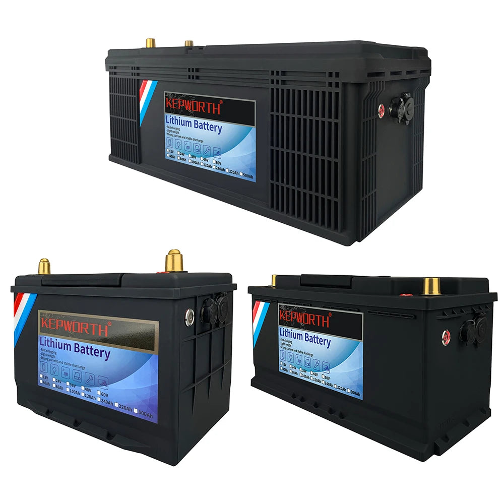 12V 24V 100Ah 120Ah LiFePO4 Built-in BMS Perfec Battery