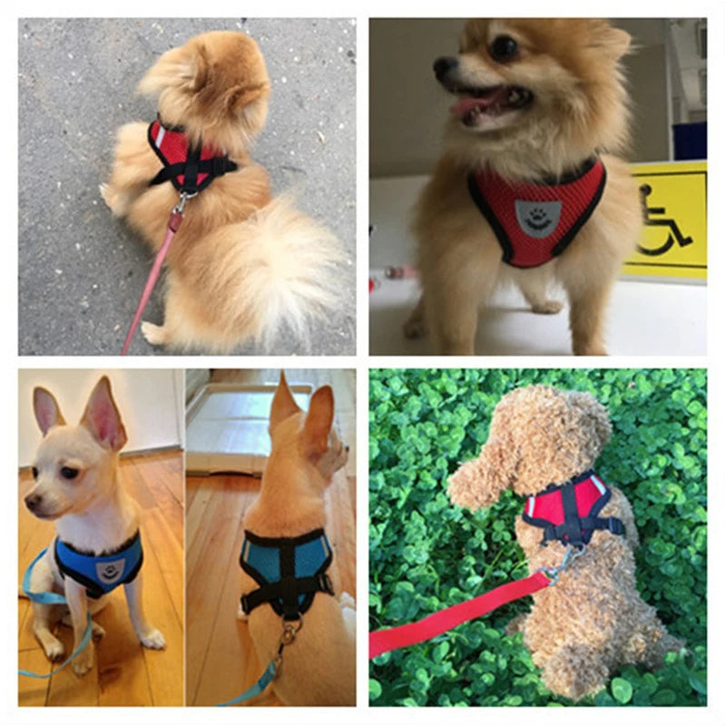 Dog Walking Harness Lead