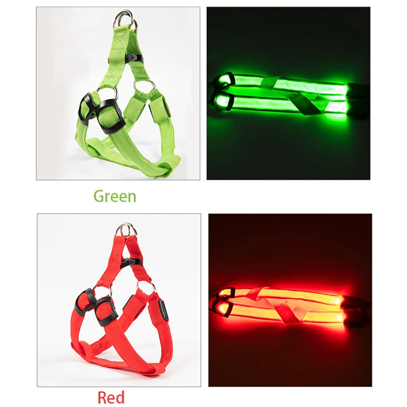 Luminous Dog Harness