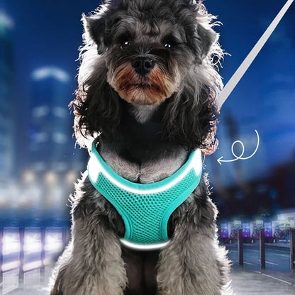 Dog Cat Vest Harness