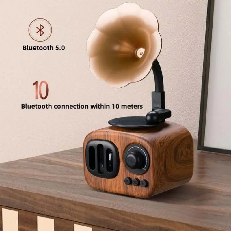 Gift Phonograph Bluetooth Speaker