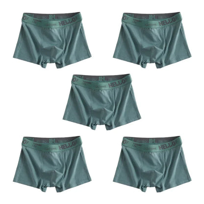 Men's Quick-Dry Boxer Trunks