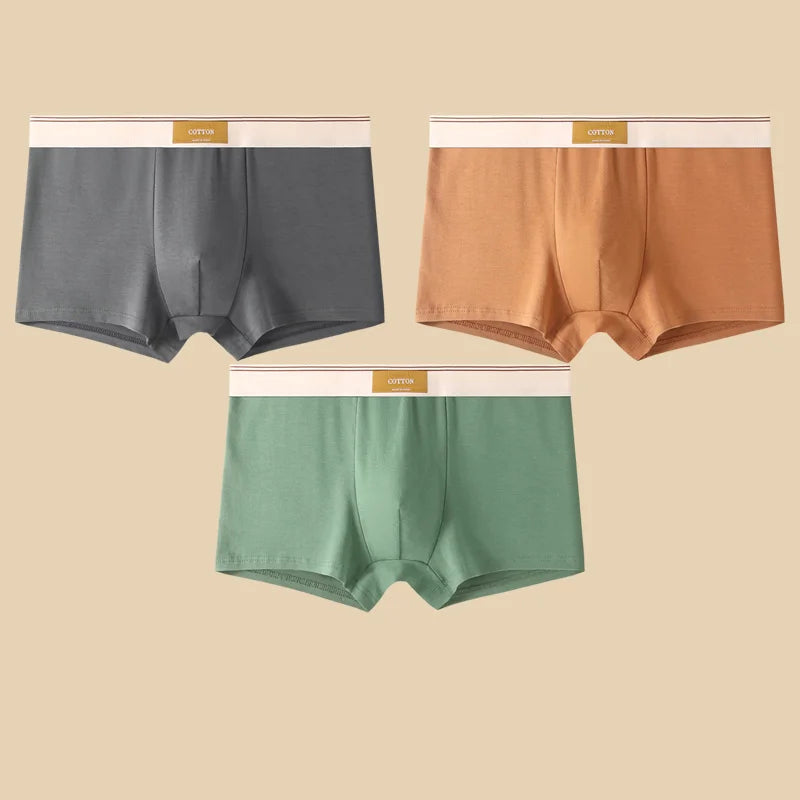 Men's Cotton Boxer Shorts