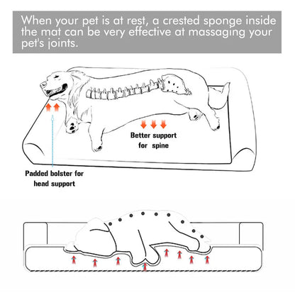 Dog Extra Large Orthopedic Bed