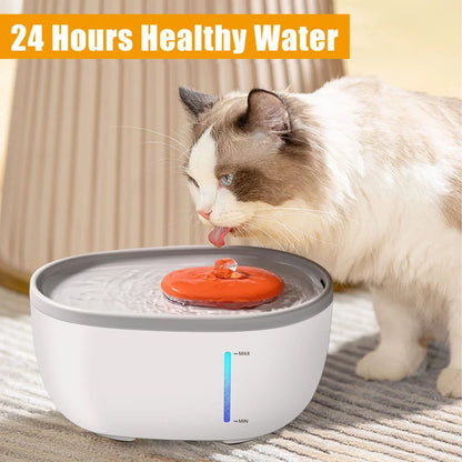 3 PCS Cat Water fountain Filters with  foams