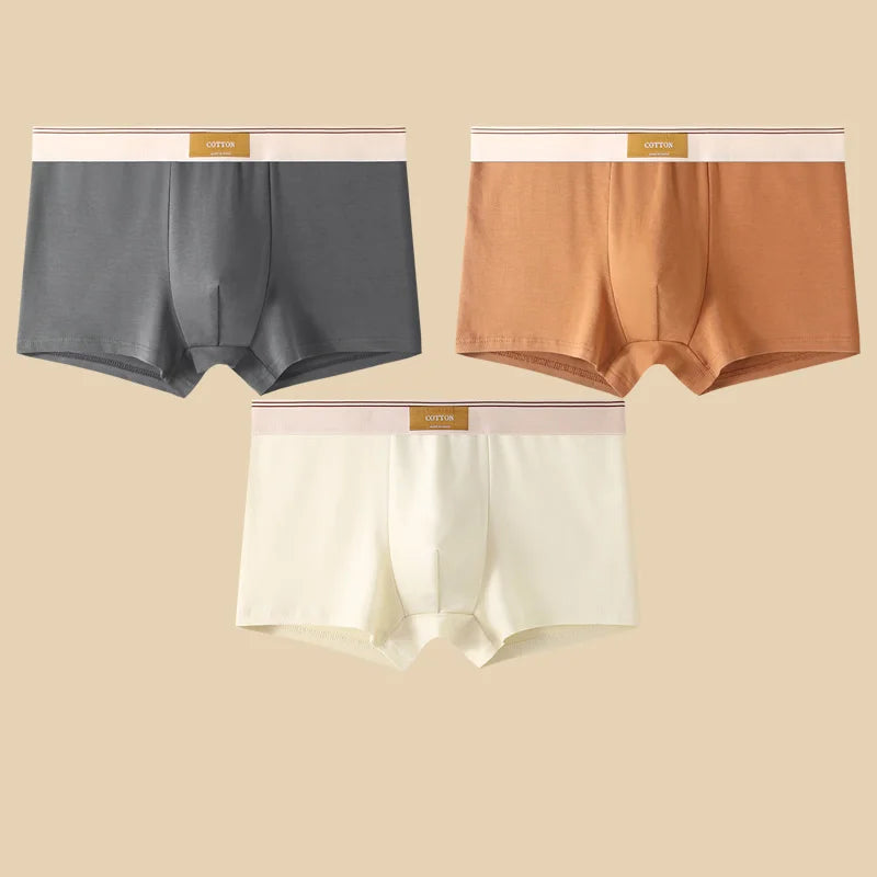 Men's Cotton Boxer Shorts