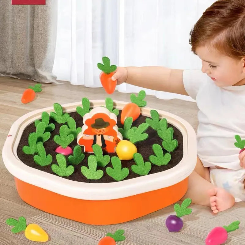 Baby Montessori Toys