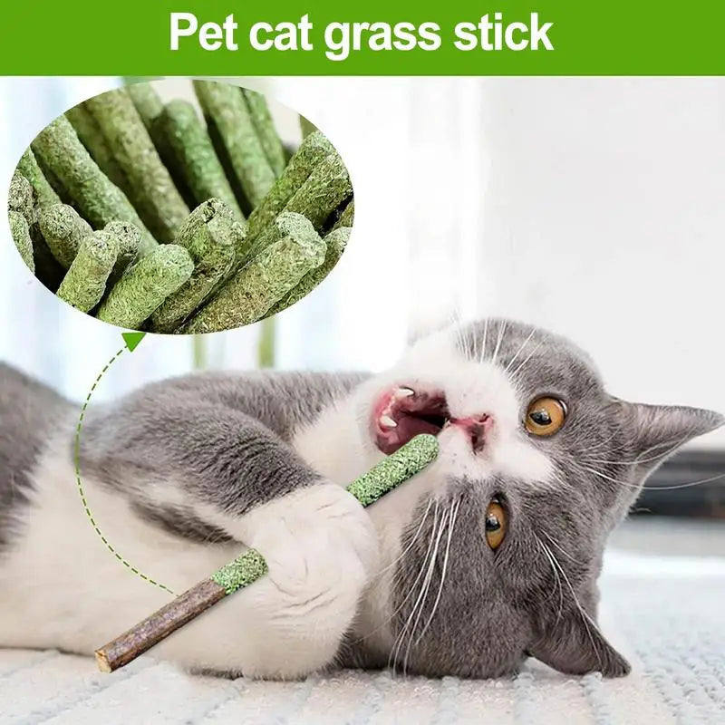 Natural Matatabi Cat Stick Mint Caught Bite Cat Toys