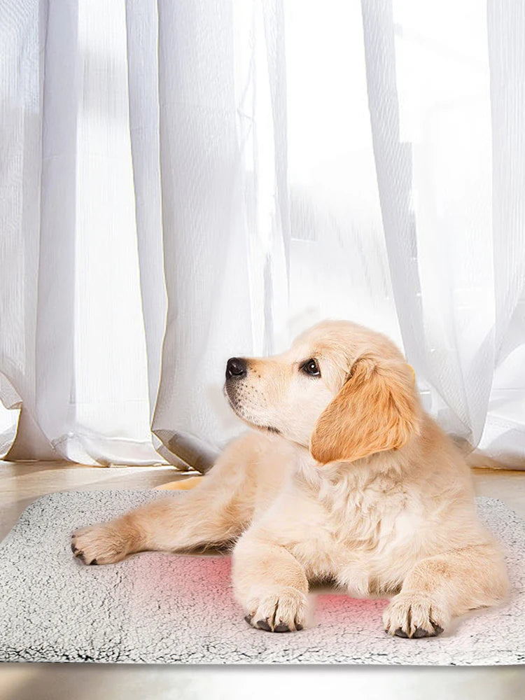 Self-Warming Dog Bed