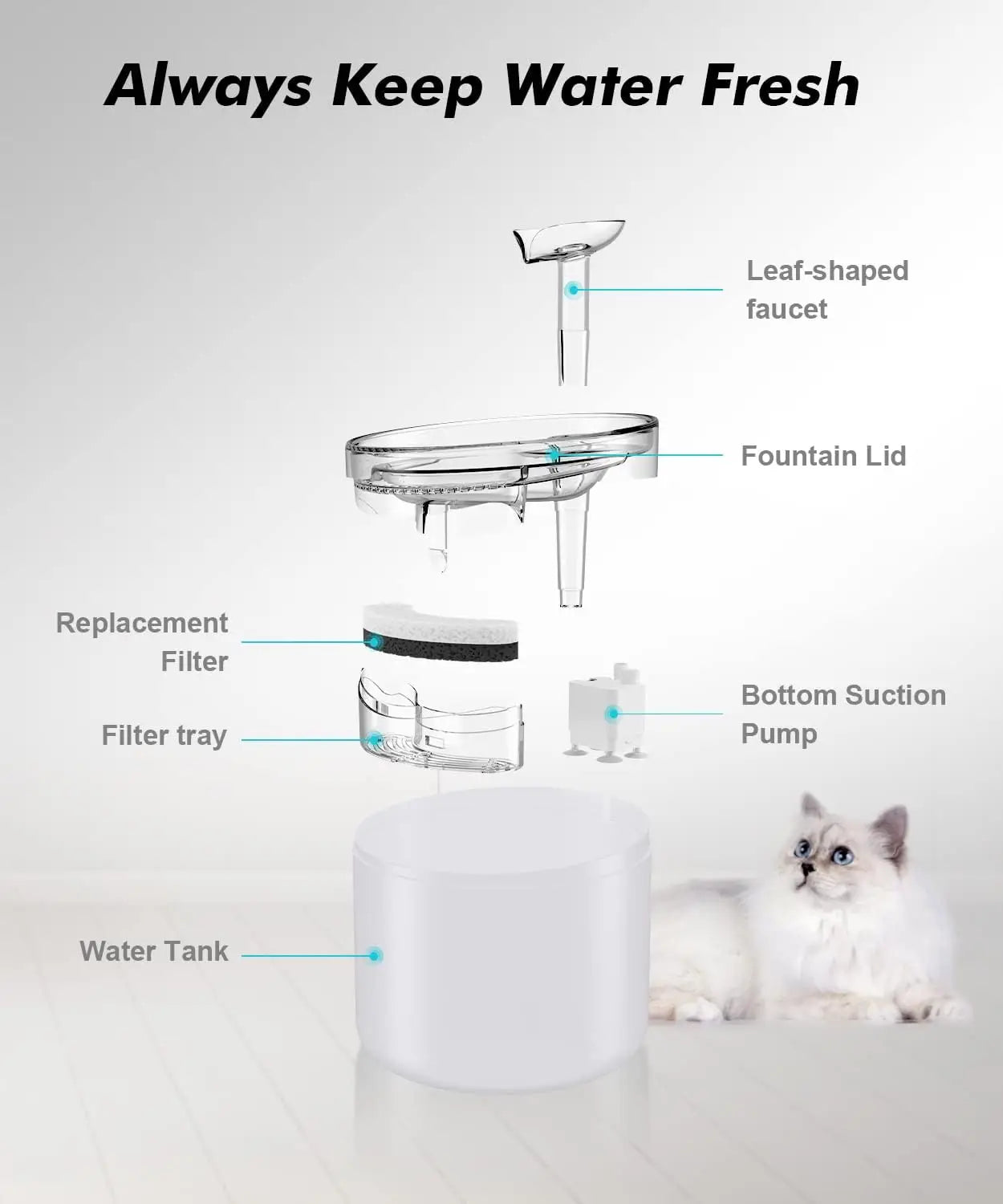 Cat Water Fountain, 54oz/1.6L