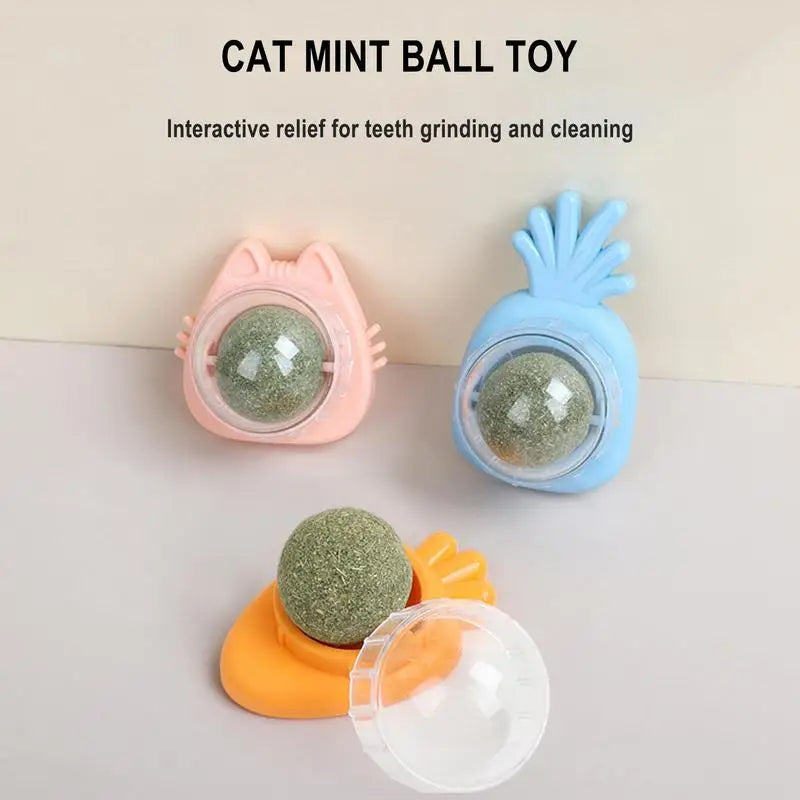 Catnip Wall Ball Toys