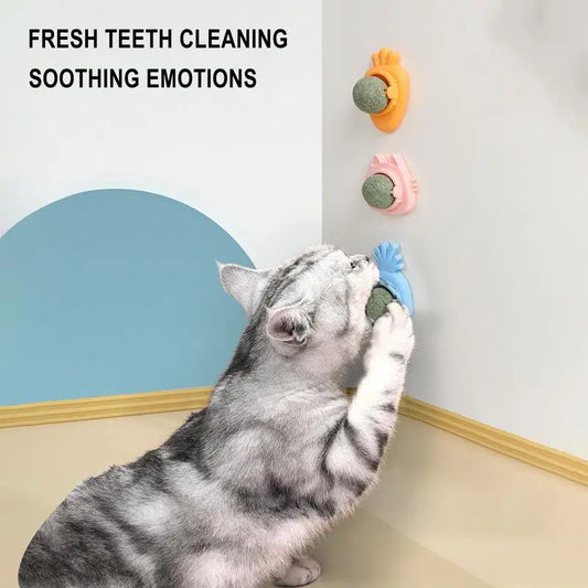 Catnip Wall Ball Toys