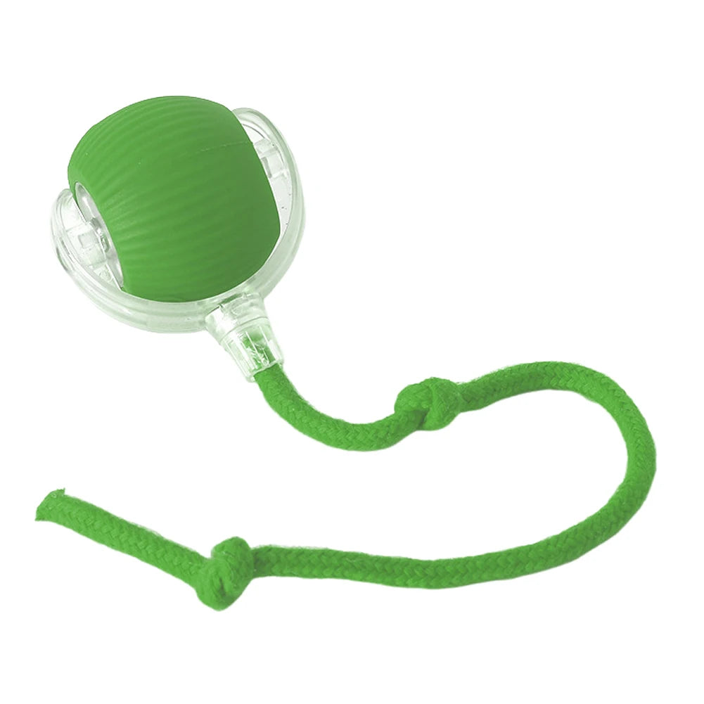 Cat Interactive Ball Toys