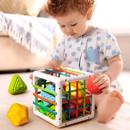 Baby Shape Sorter Cube Toy