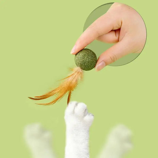 Cat Catnip Catnip Feather Ball Toys