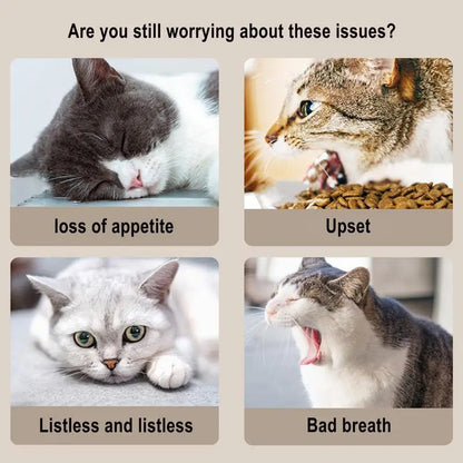 Catnip Wall Ball Toys