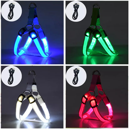 Luminous Dog Harness