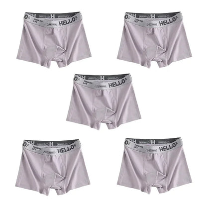 Men's Quick-Dry Boxer Trunks