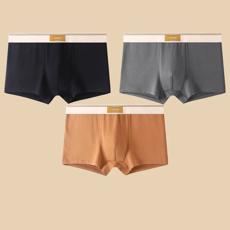 Men's Cotton Boxer Shorts