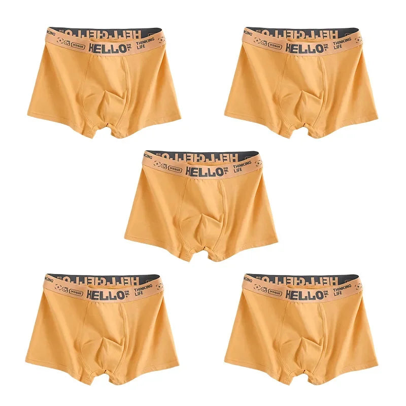 Men's Quick-Dry Boxer Trunks