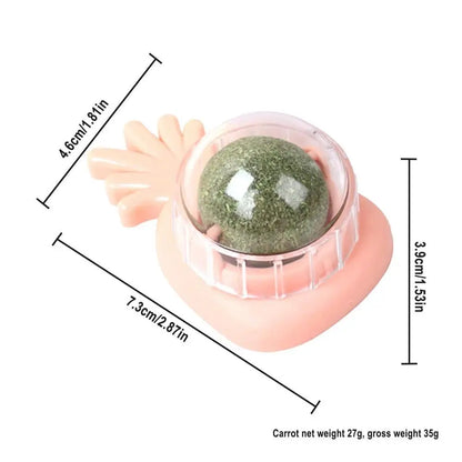 Catnip Wall Ball Toys