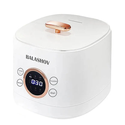 220V Mini Electric Smart Rice Cooker