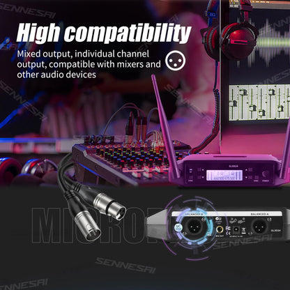 GLD-24 B58 Professional Dual Wireless Microphone