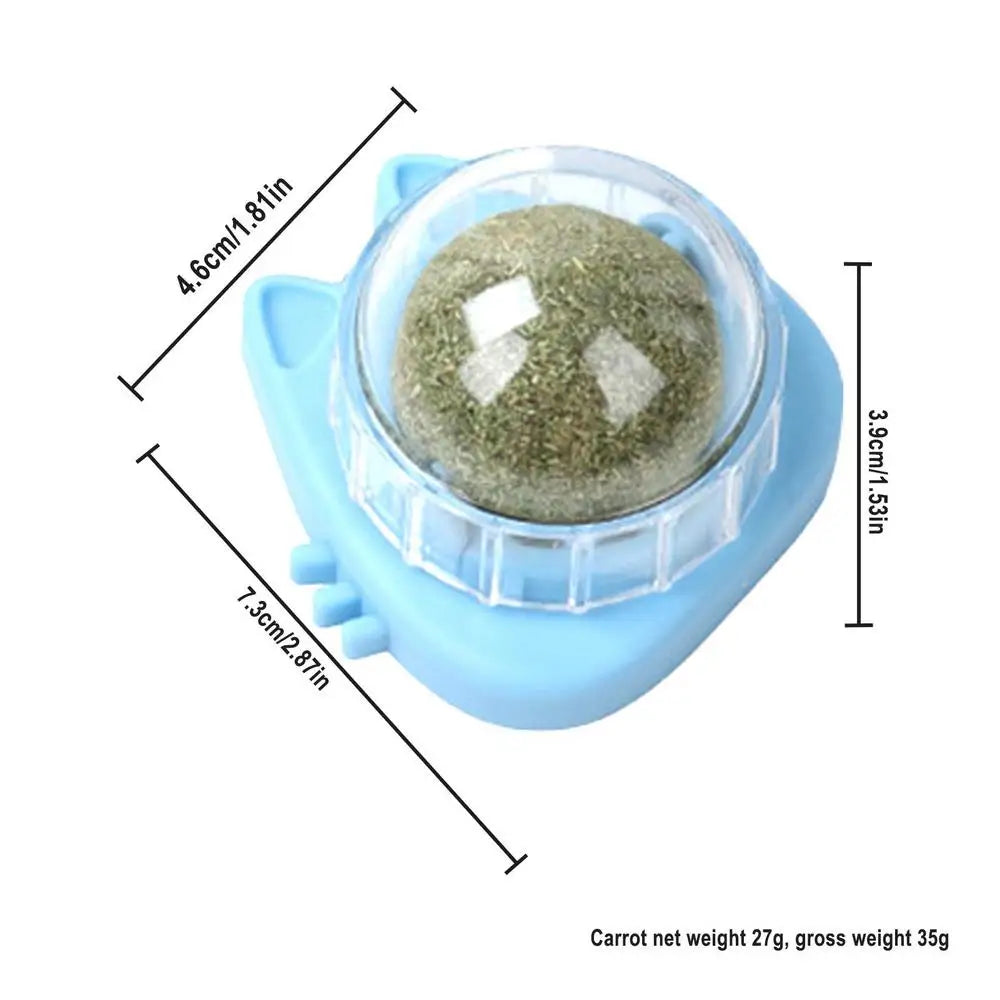 Catnip Wall Ball Toys