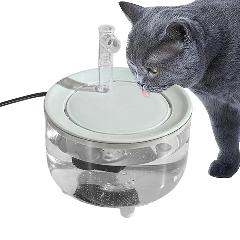 Pet Water Dispenser